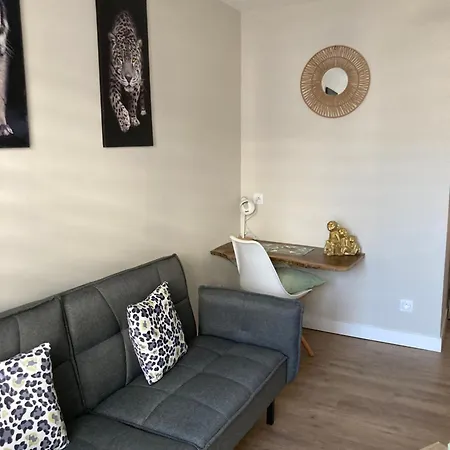 Appartement Le Petit Raphael Tarbes