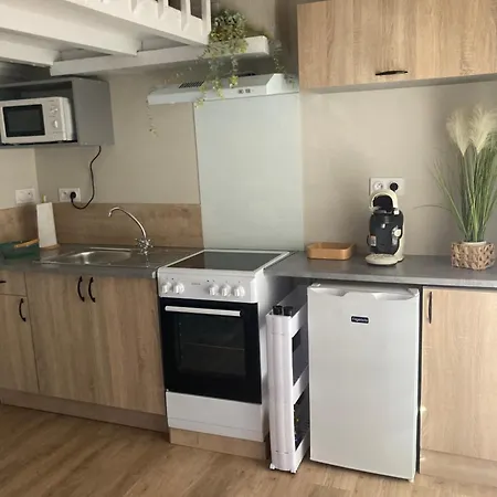 Appartement Le Petit Raphael